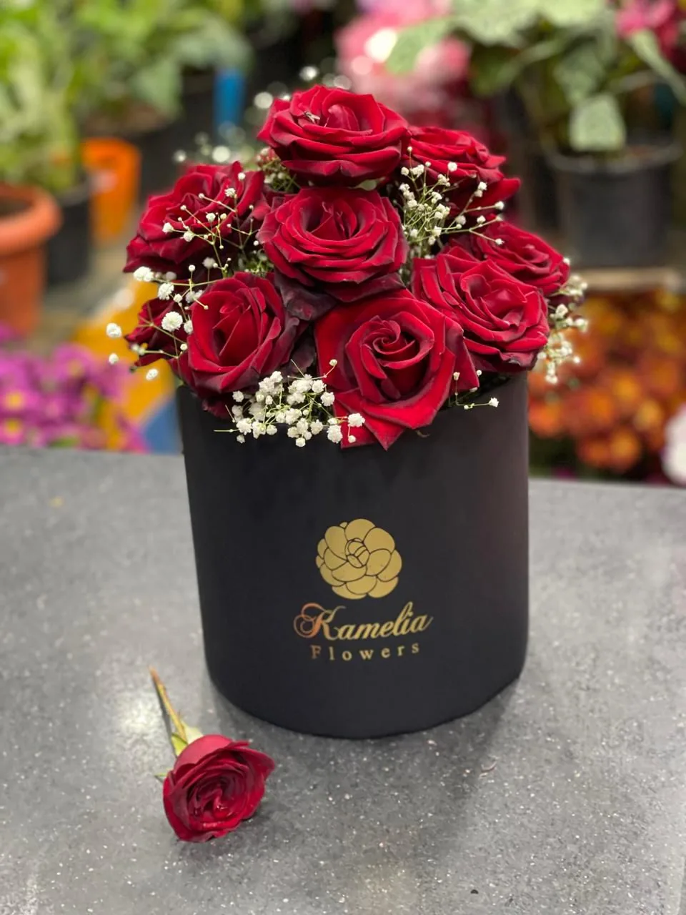 Flower Boxes