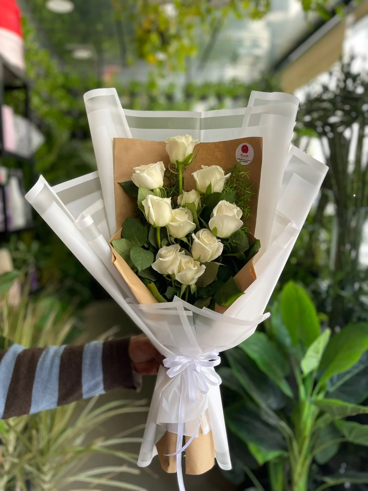 white Rose