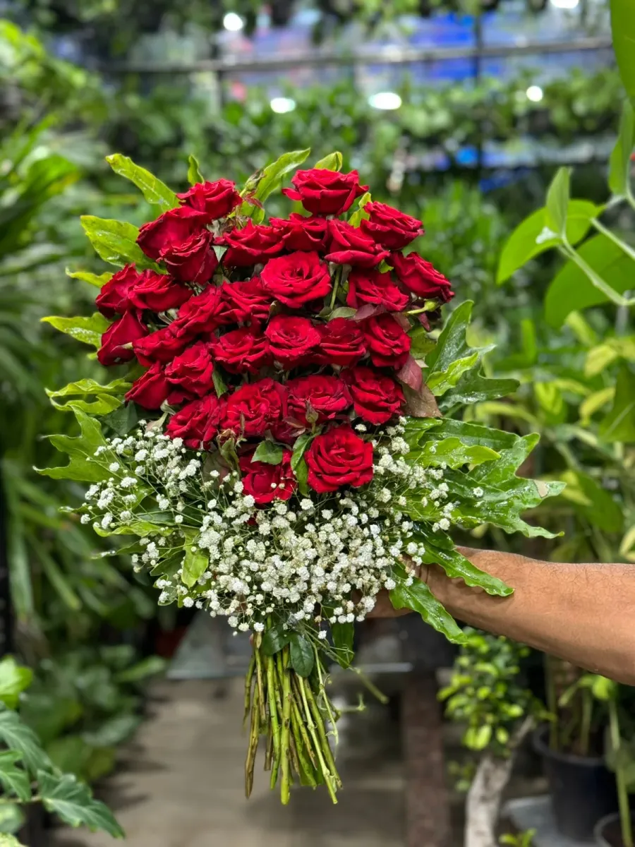 Red Roses 