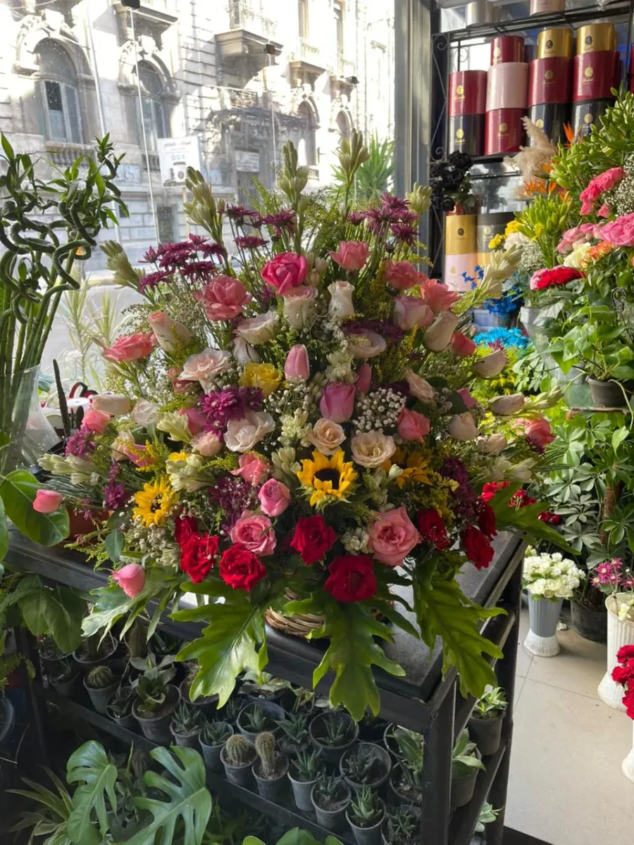 Premium Mixed Arrangement