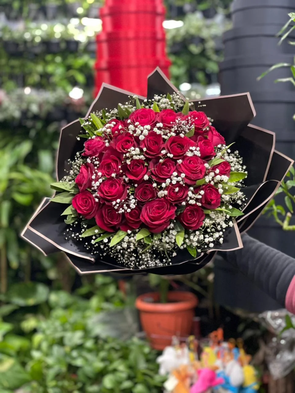 Black Scallop Red Roses