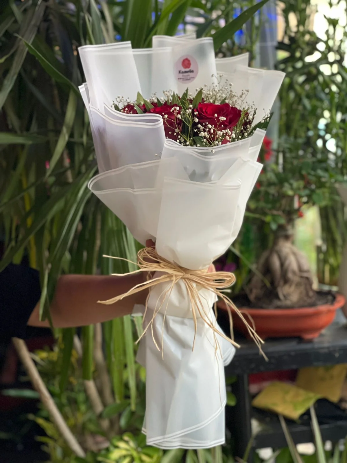 Classic Red Roses White Wrap