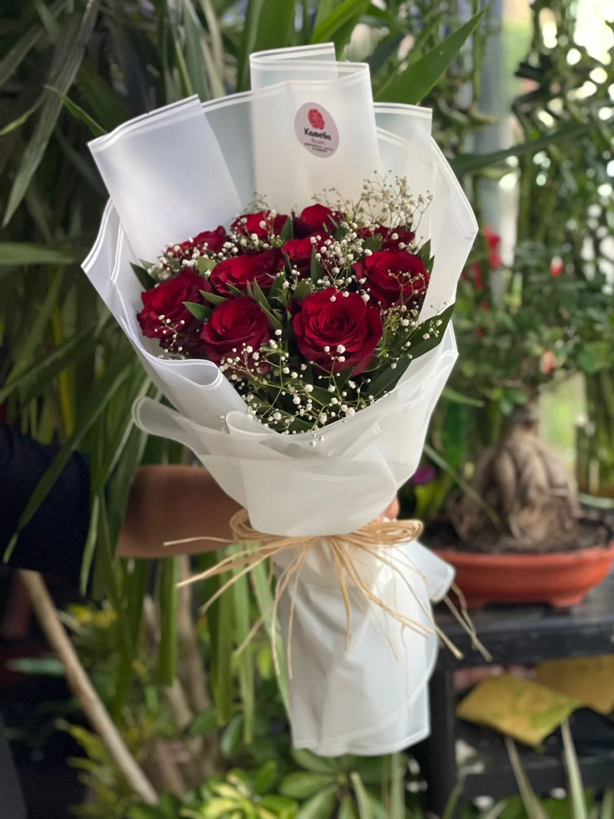 Classic Red Roses White Wrap