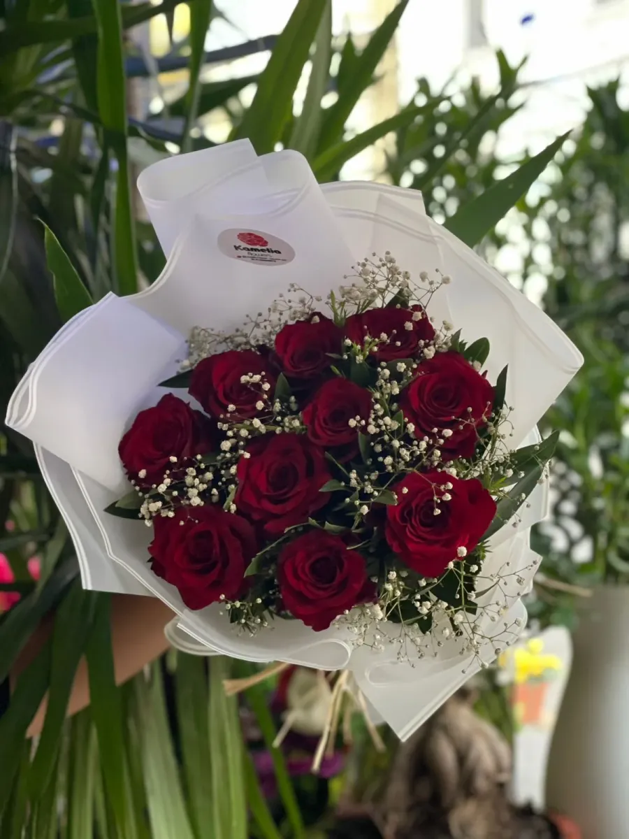 Classic Red Roses White Wrap